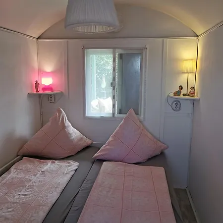 Deichschatz * Mittelnkirchen