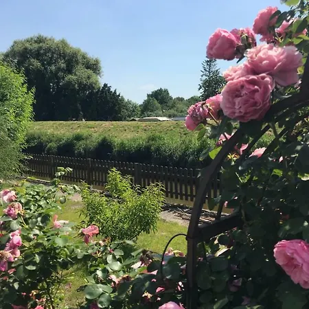 Kro Deichschatz Mittelnkirchen